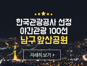 한국관광공사 선정 야간관광 100선 남구 앞산공원