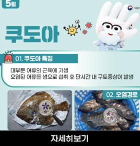 쿠도아 01.쿠도아특징 대부분 어류의 근육에 기생 / 오염된 어류를 생으로 섭취 후 단시간 내 구토증상이 발생