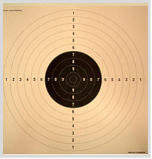 靶子从中心开始标记了10环至1环